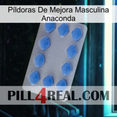 Píldoras De Mejora Masculina Anaconda 21